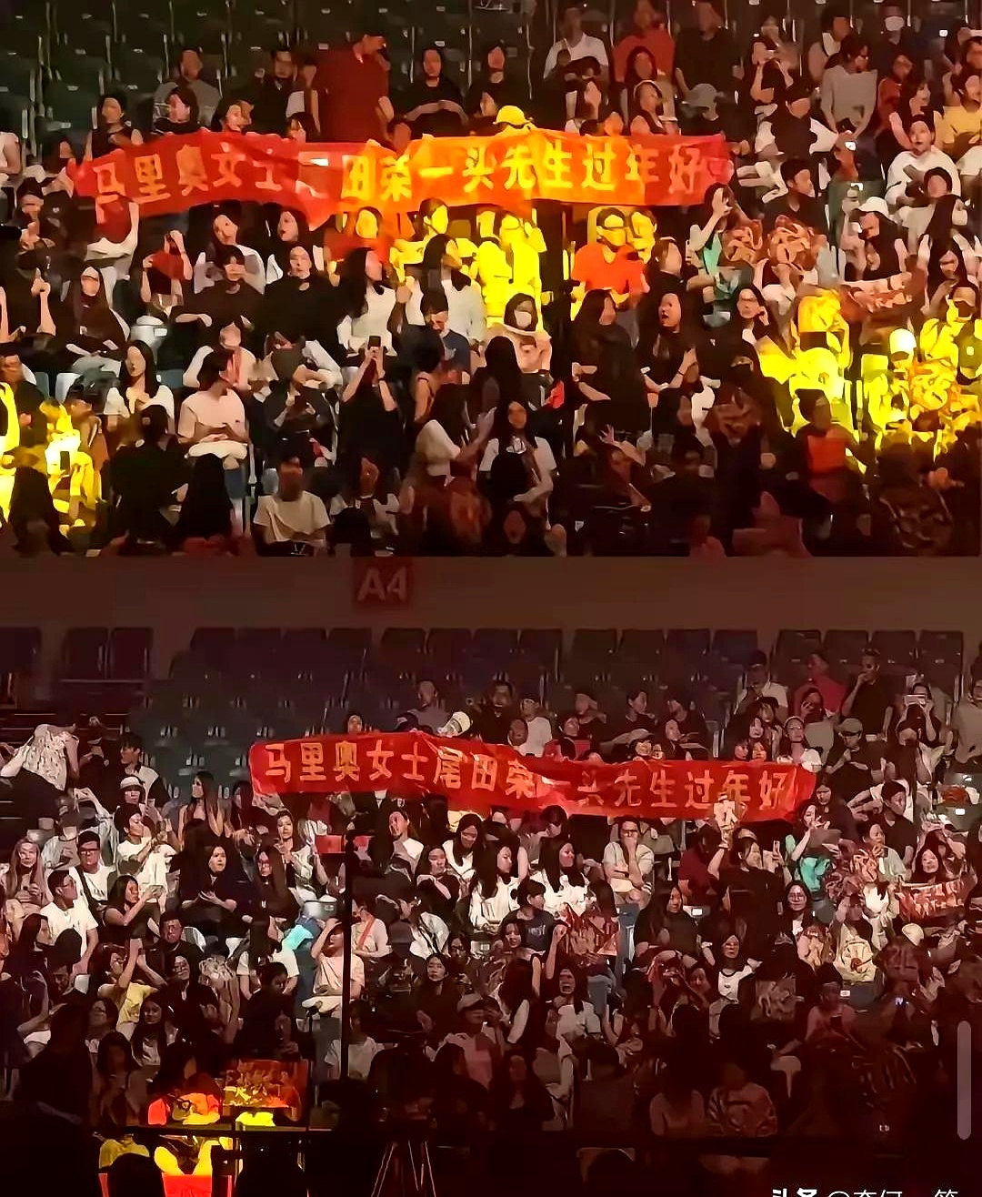弱队逆袭，赢得了观众的喝彩与掌声的简单介绍